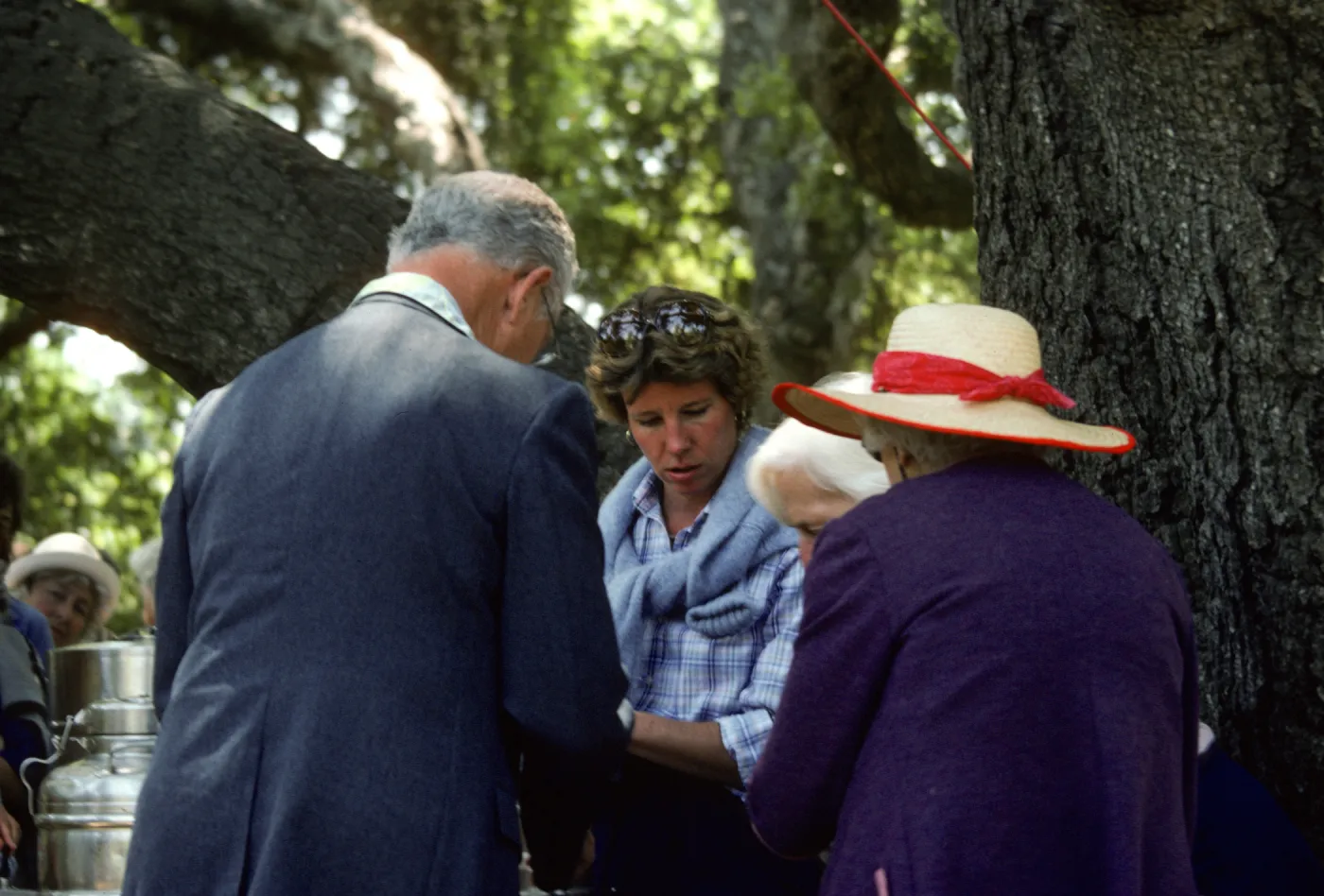 SBBG Members Day, 1982