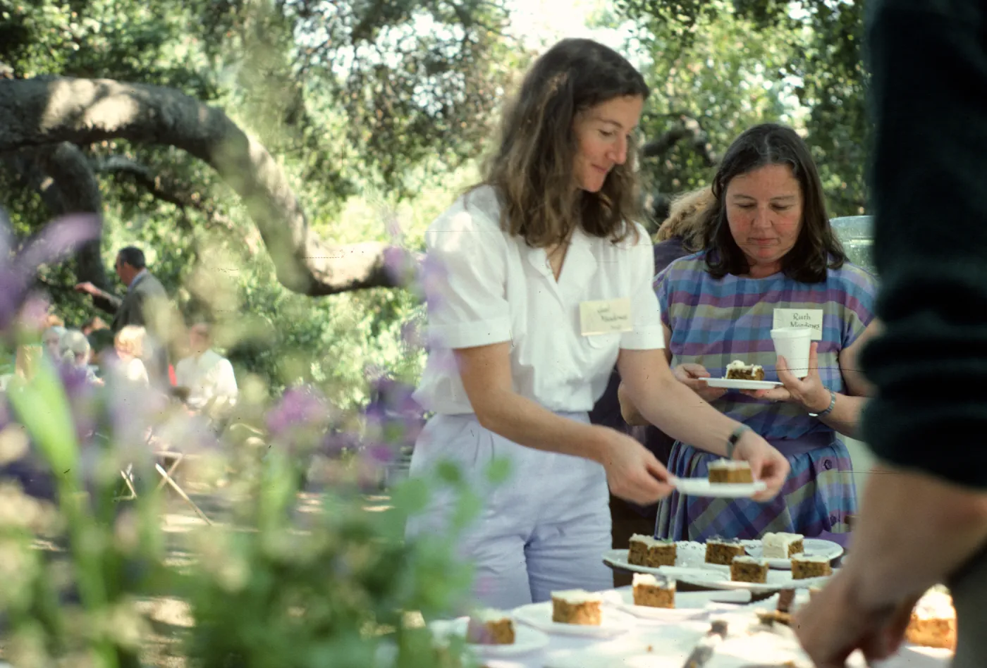 SBBG Members Day Picnic, 1986