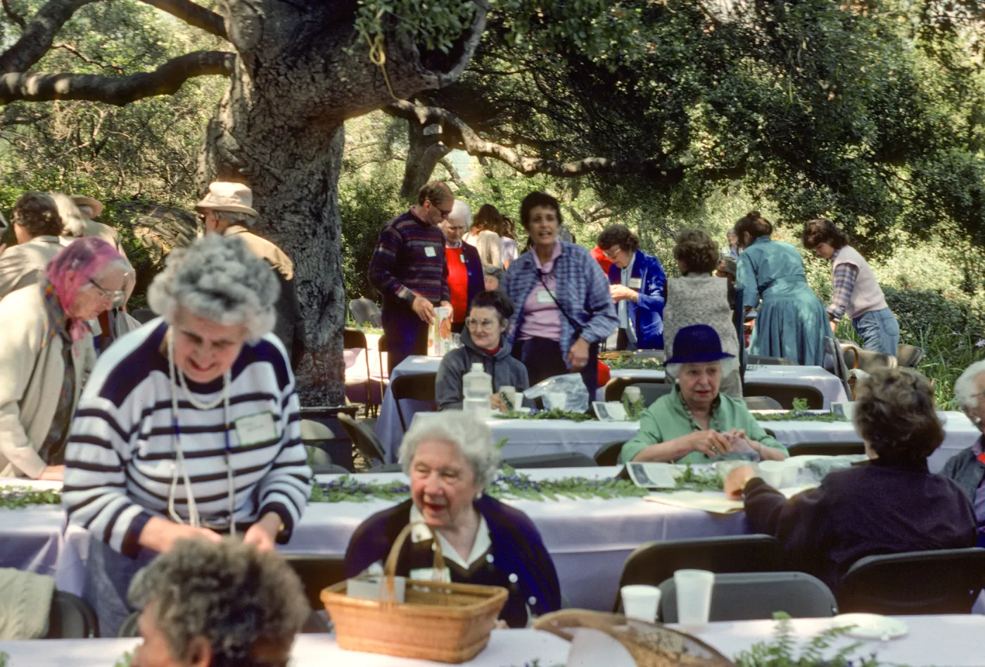 SBBG Members Day Picnic, 1986