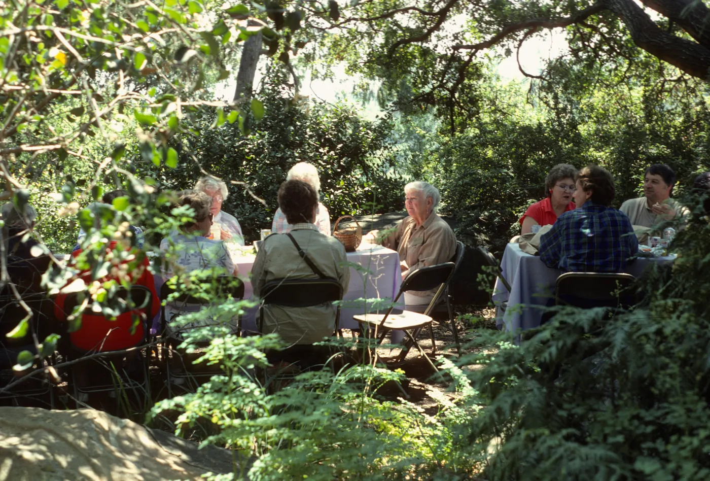 SBBG Members Day Picnic, 1986