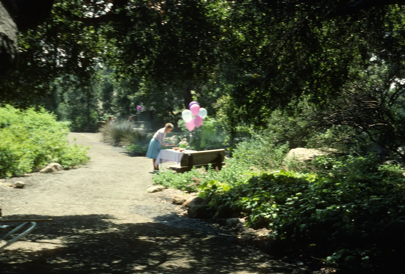 SBBG Members Day Picnic, 1986