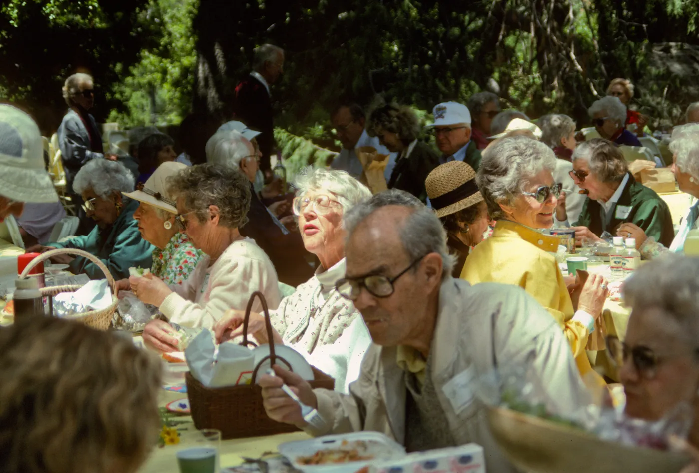 SBBG Members Day, 1991