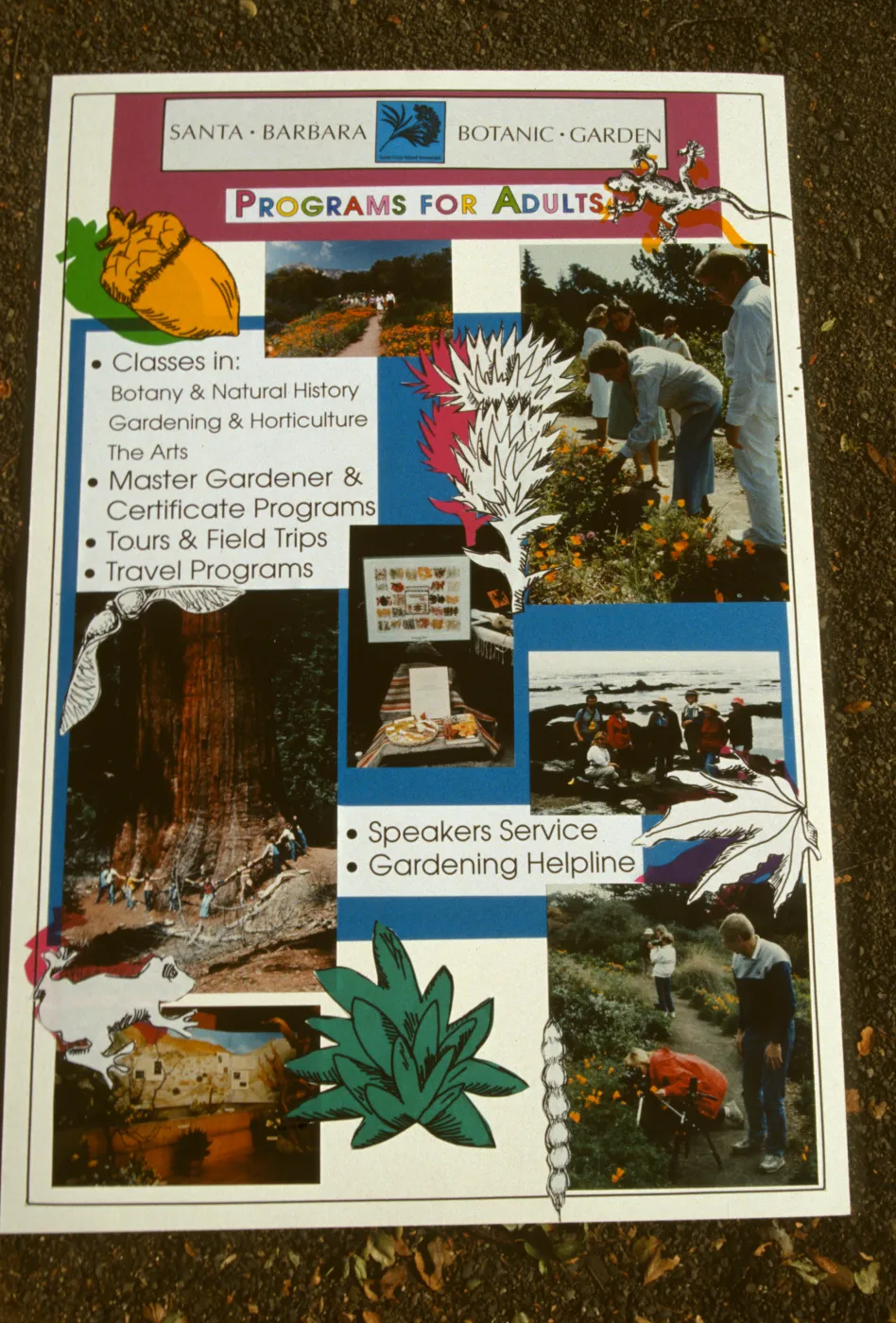 Programs for Adults, display easel