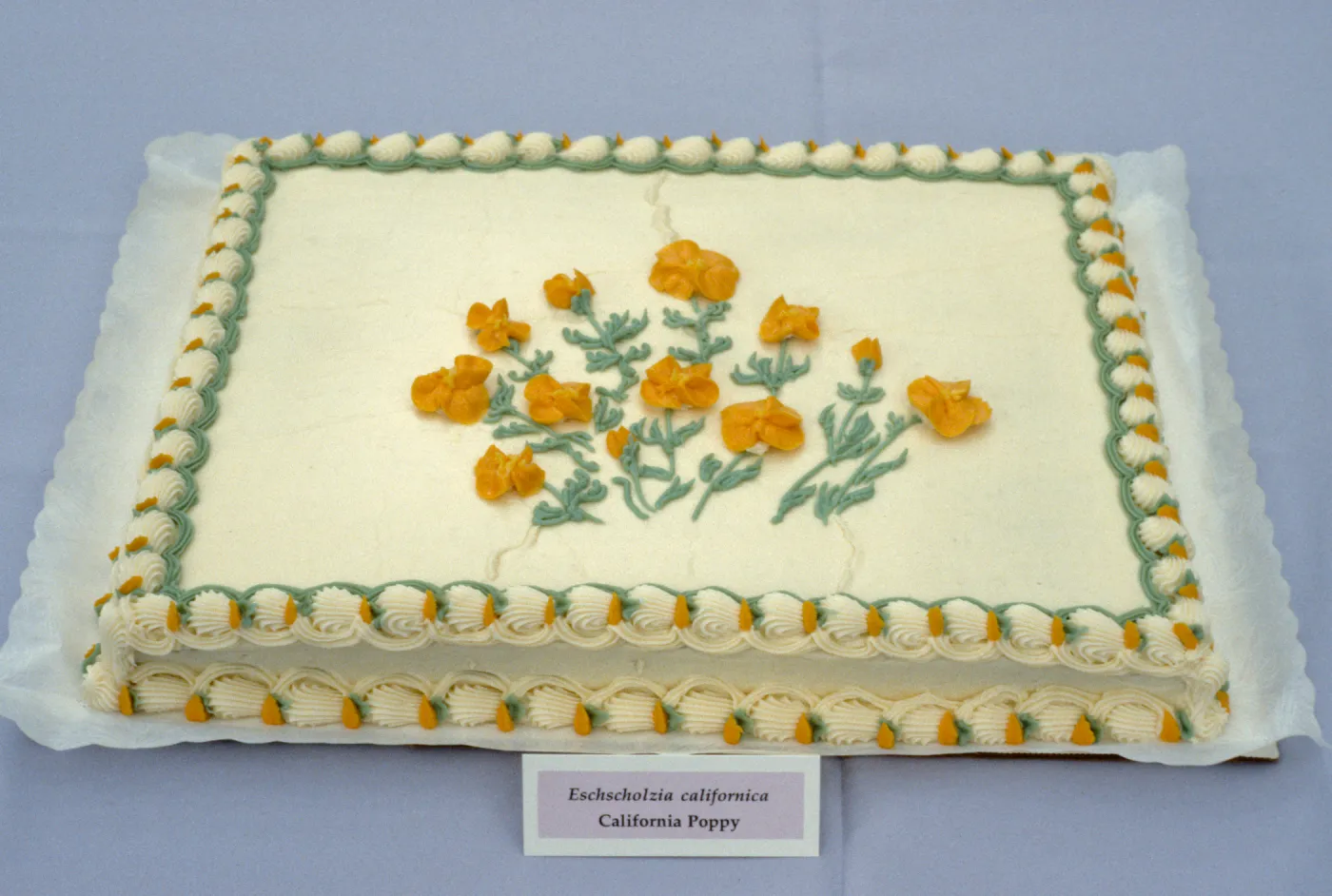 Poppy cake, SBBG Members Day Picnic, 1988