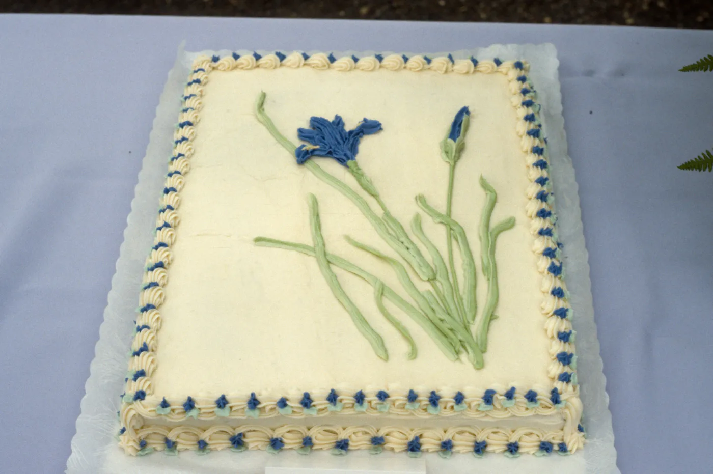 Iris cake, SBBG Members Day Picnic, 1988