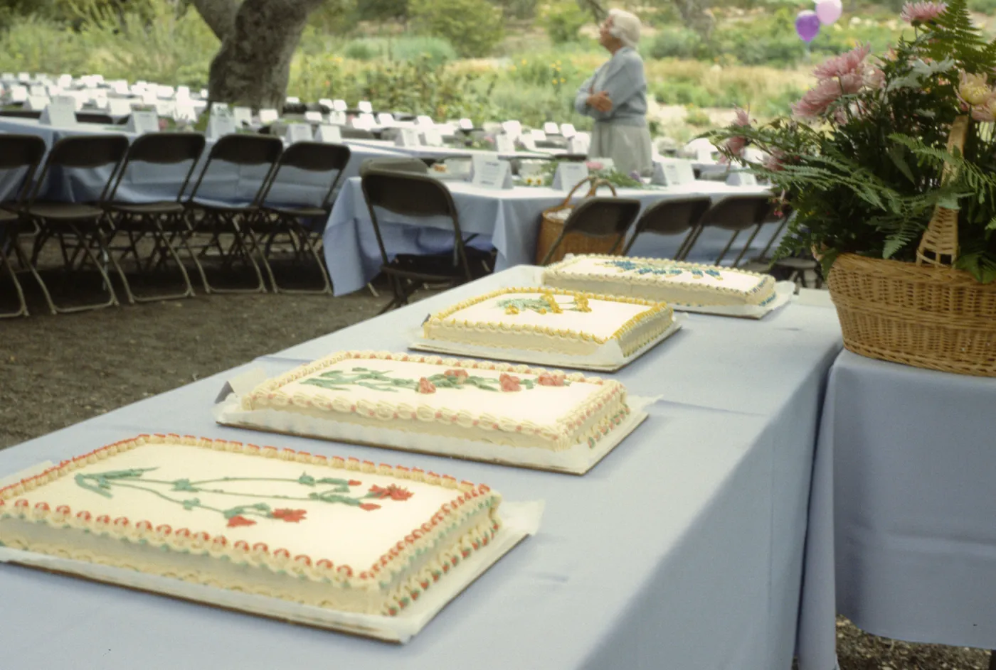 cake table, SBBG Members Day Picnic, 1988
