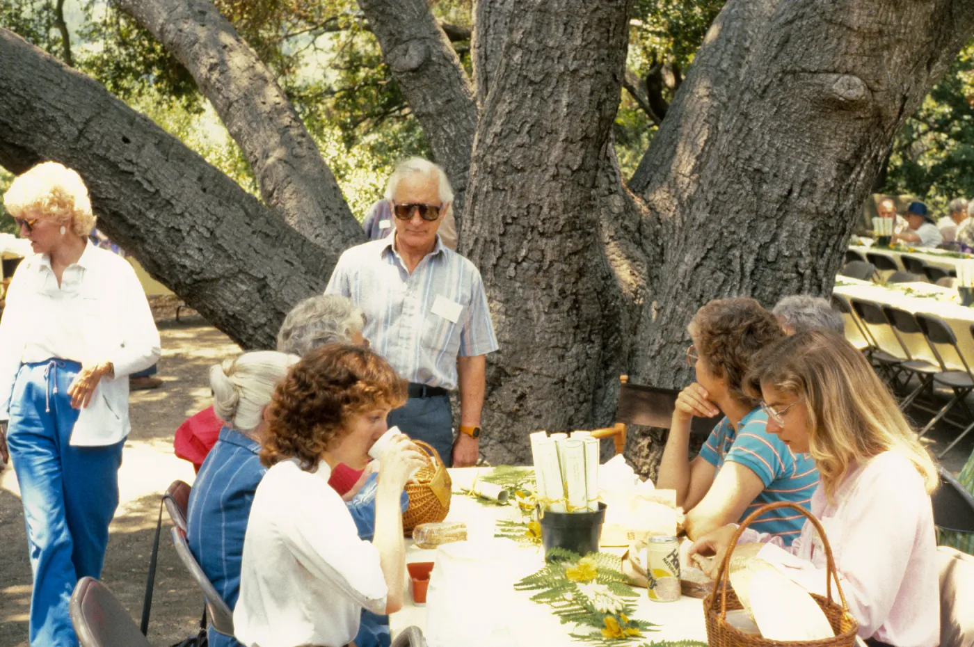 SBBG Members Day Picnic, 1987