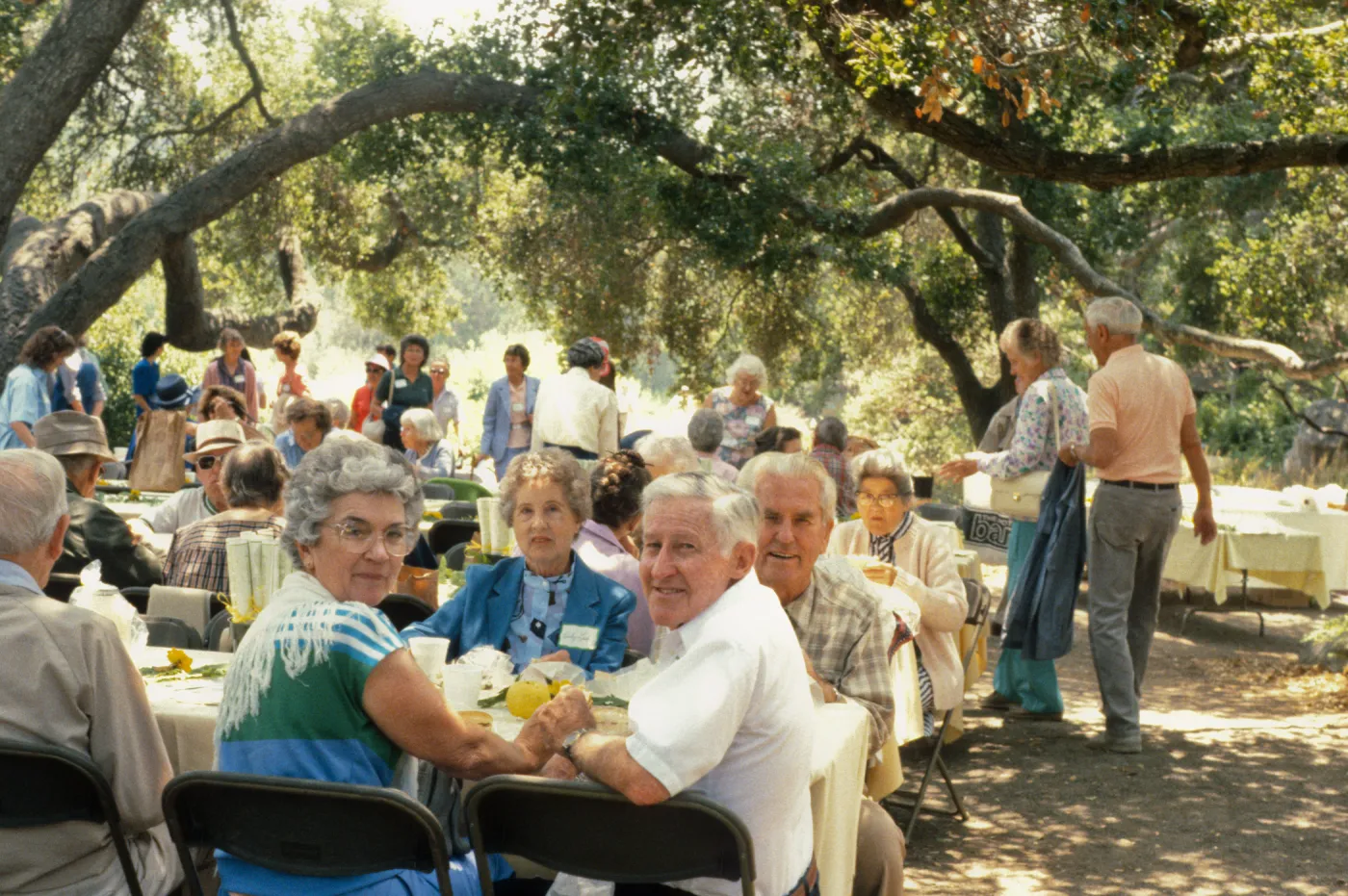 SBBG Members Day Picnic, 1987, under the Meadow Oaks
