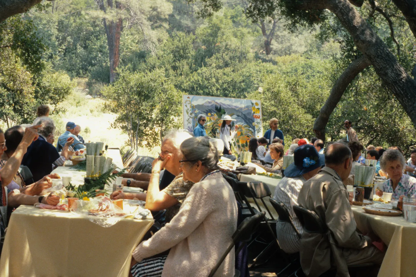 SBBG Members Day Picnic, 1987, under the Meadow Oaks