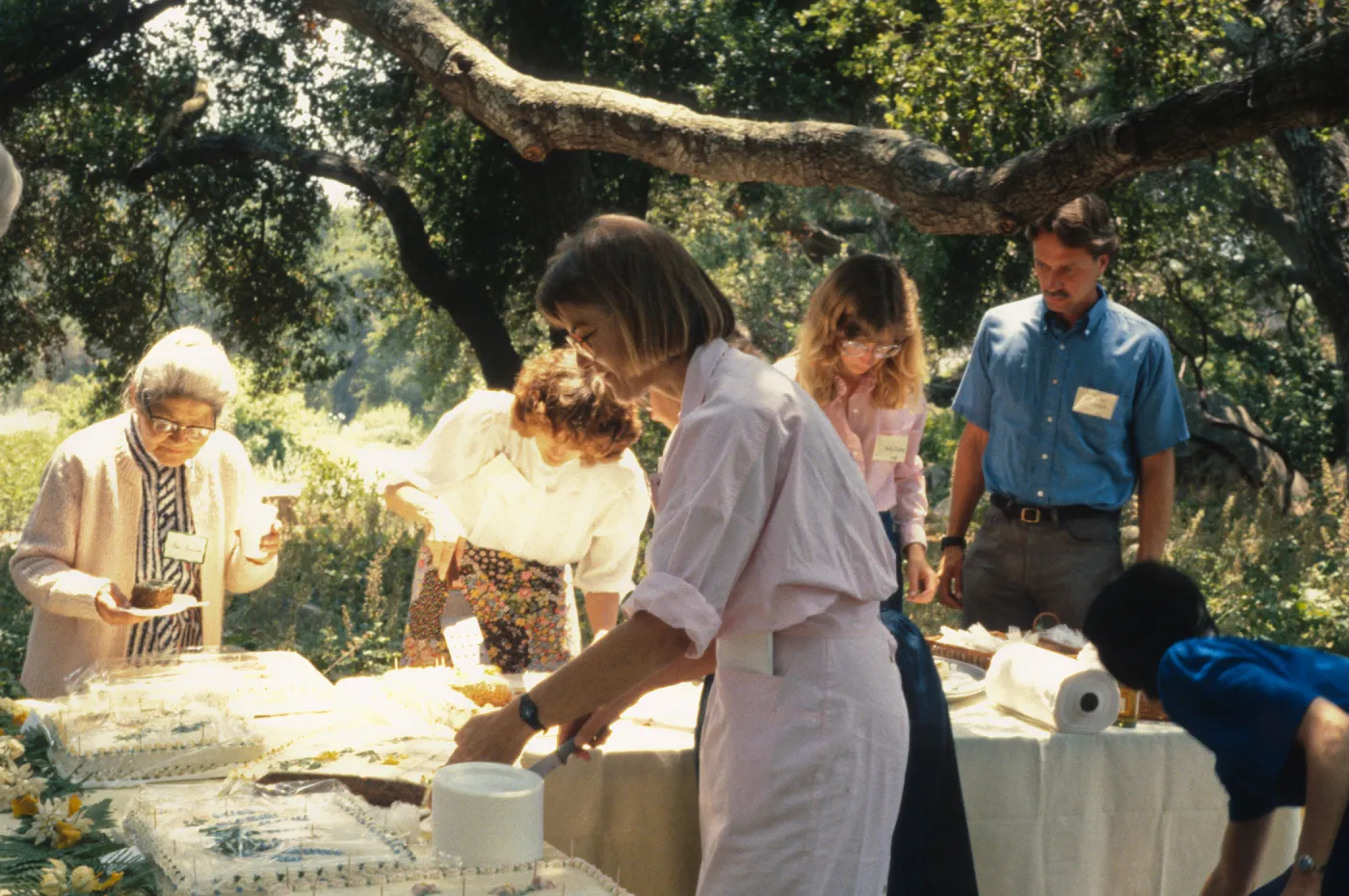 SBBG Members Day Picnic, 1987, under the Meadow Oaks