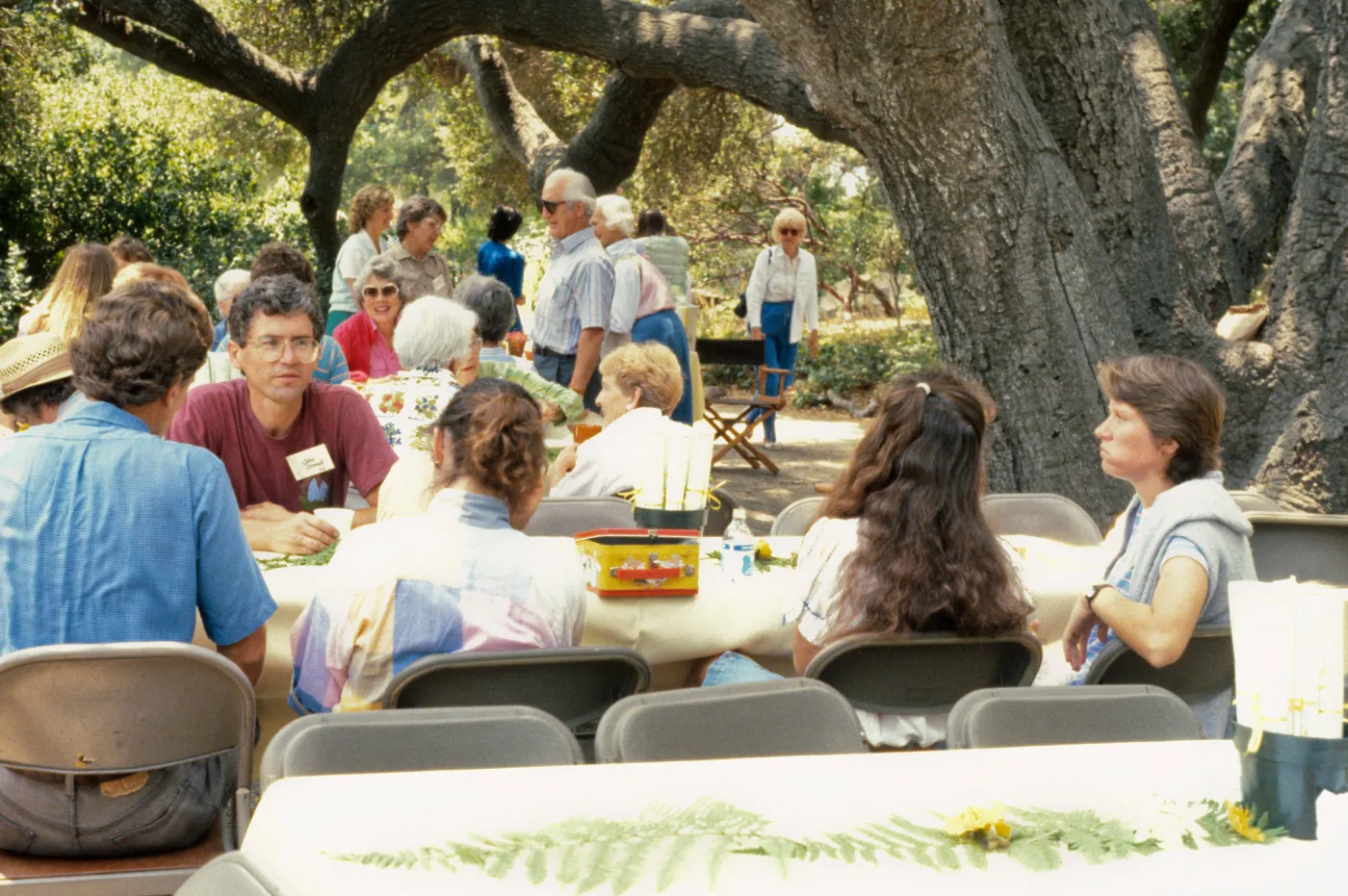SBBG Members Day Picnic, 1987, under the Meadow Oaks