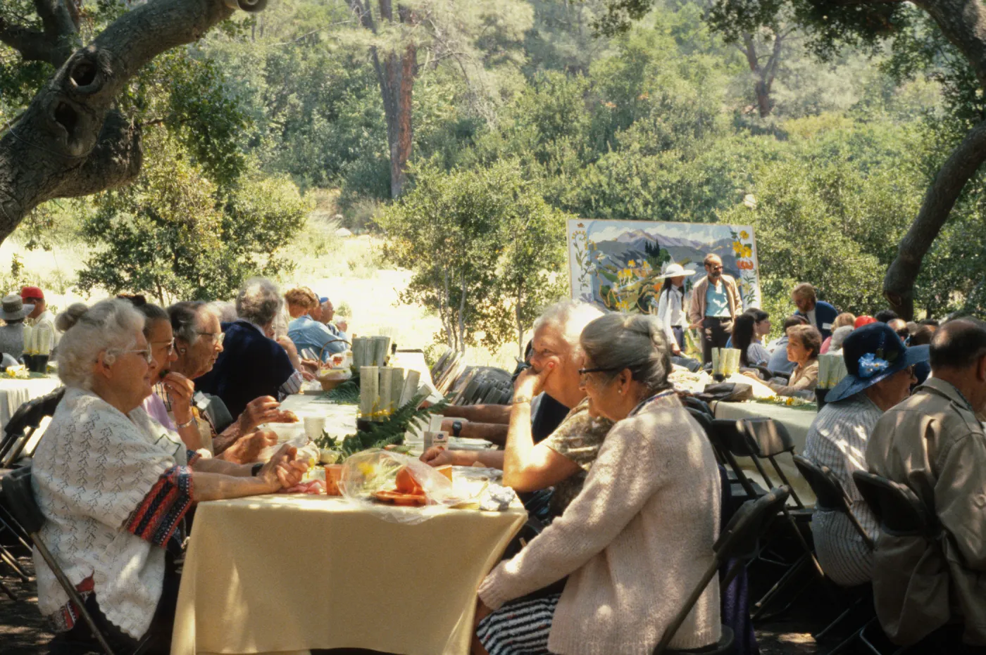 SBBG Members Day Picnic, 1987, under the Meadow Oaks