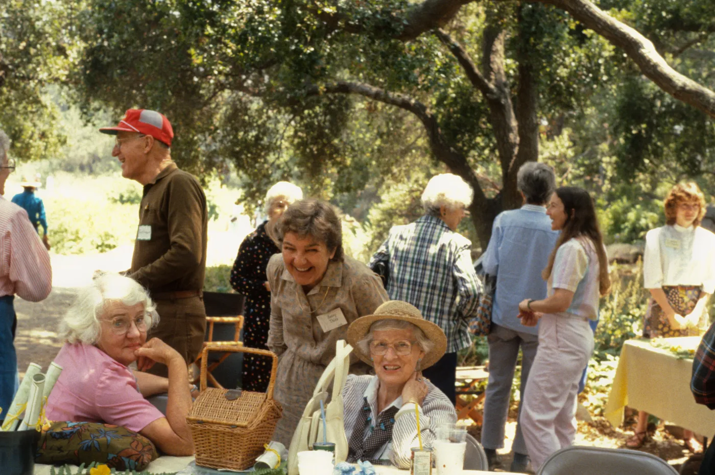 SBBG Members Day Picnic, 1987, under the Meadow Oaks