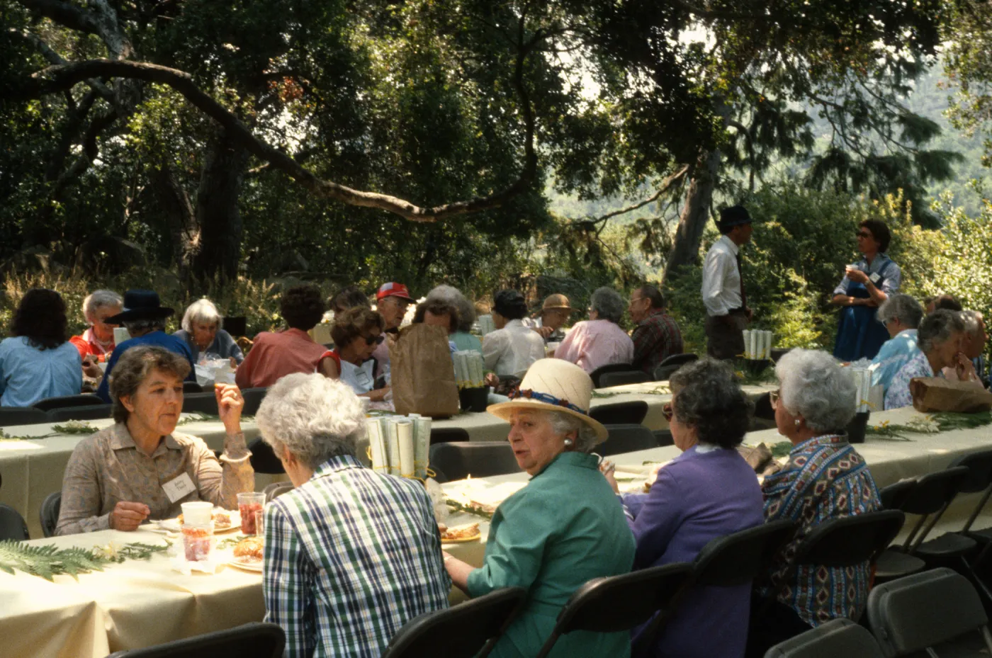 SBBG Members Day Picnic, 1987, under the Meadow Oaks