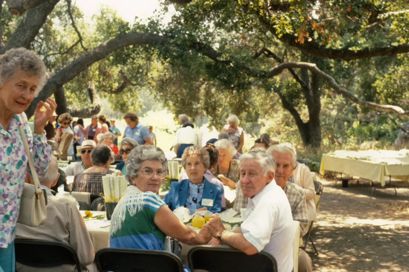 SBBG Members Day Picnic, 1987, under the Meadow Oaks