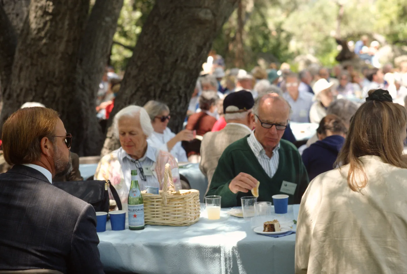 SBBG Members Day Picnic, 1995, under the Meadow Oaks