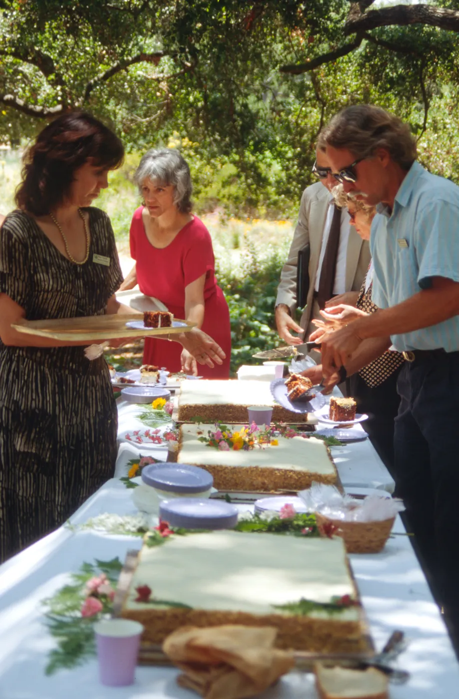 SBBG Members Day Picnic, 1996, the cake table