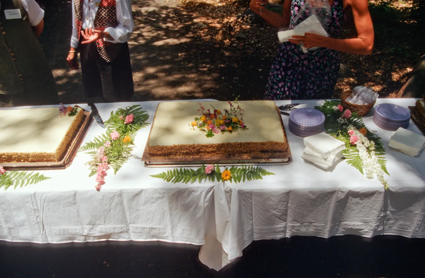 SBBG Members Day Picnic, 1996, the cake table