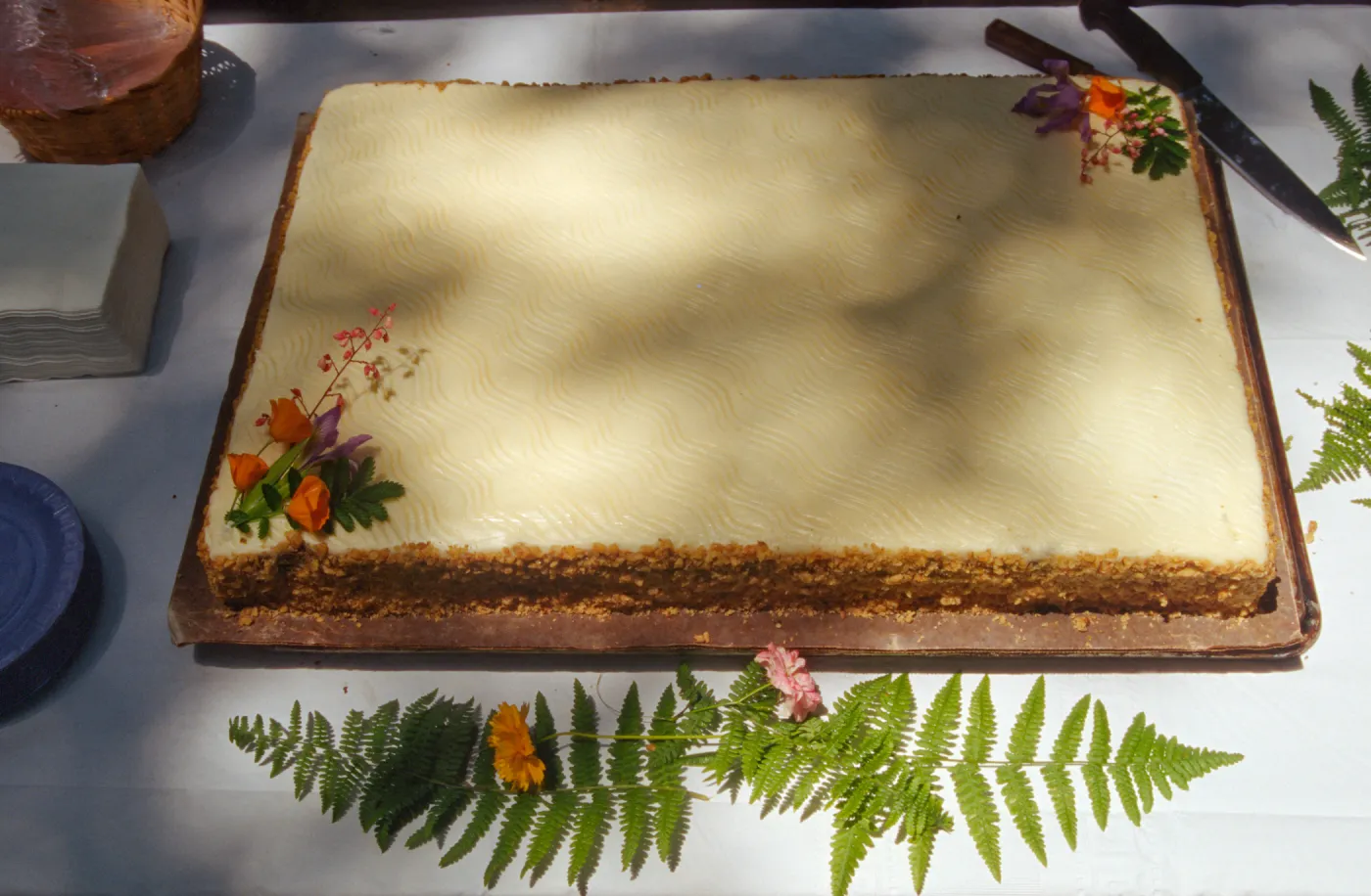 SBBG Members Day Picnic, 1996, the cake