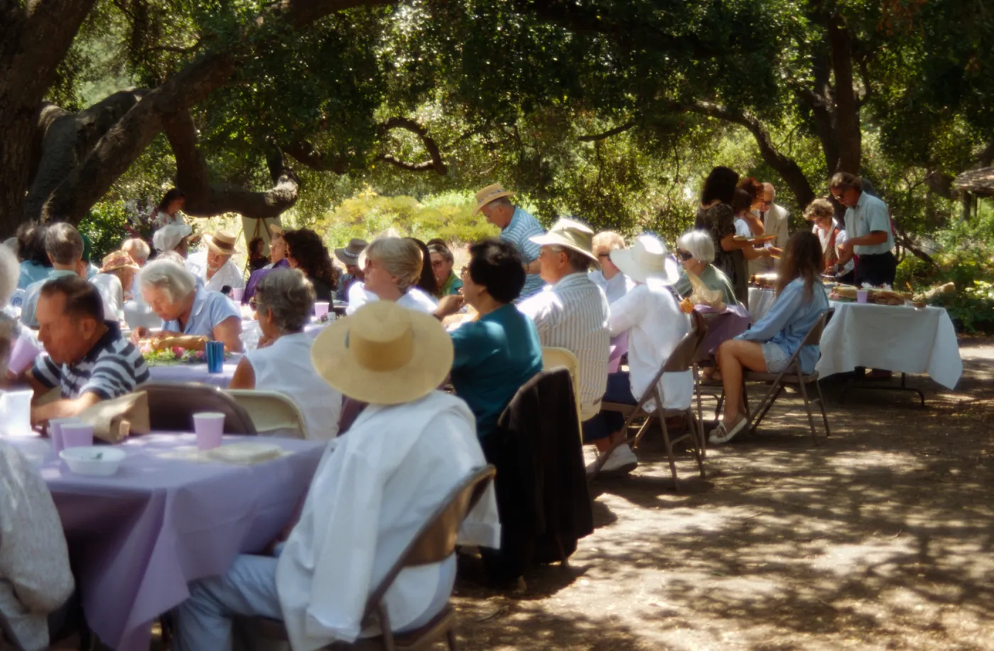 SBBG Members Day Picnic, 1996
