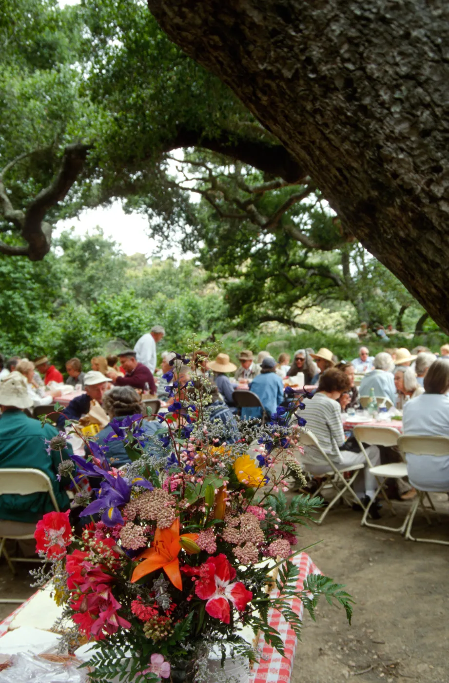 SBBG Members Day Picnic, 1998