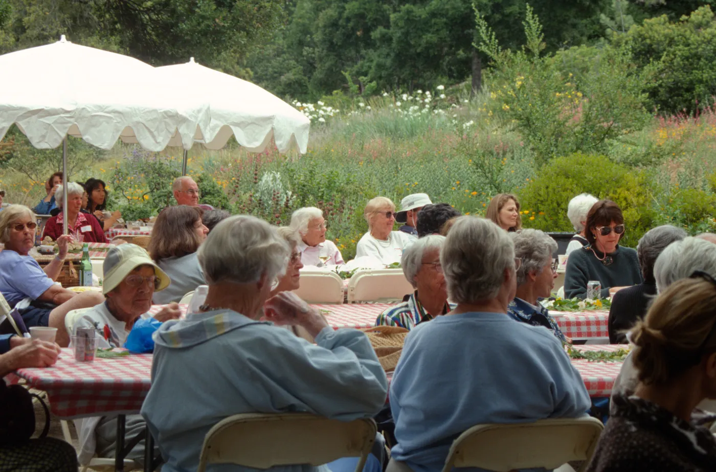 SBBG Members Day Picnic, 1998