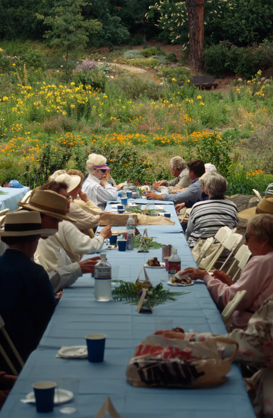 SBBG Members Day Picnic, 1995