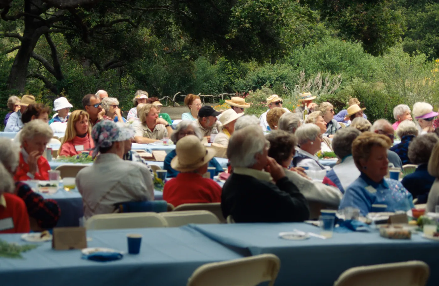 SBBG Members Day Picnic, 1995