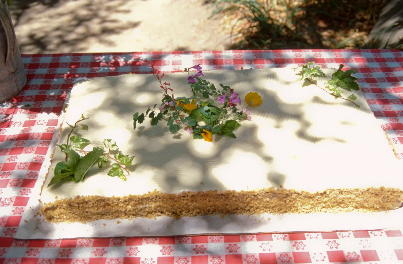SBBG Members Day Picnic, 1997, the cake