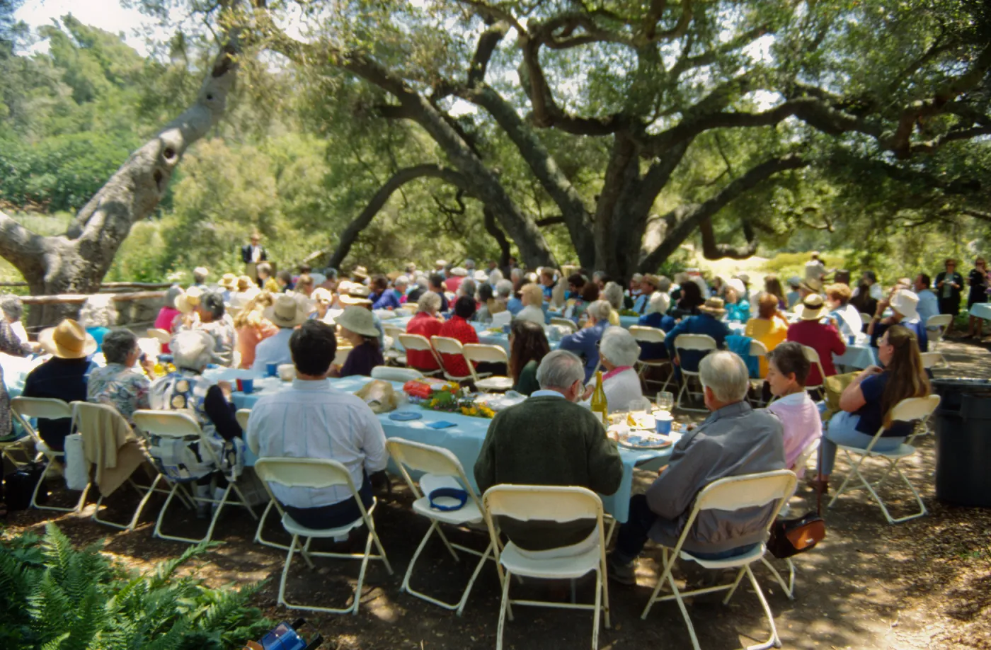 SBBG Members Day Picnic, 1994