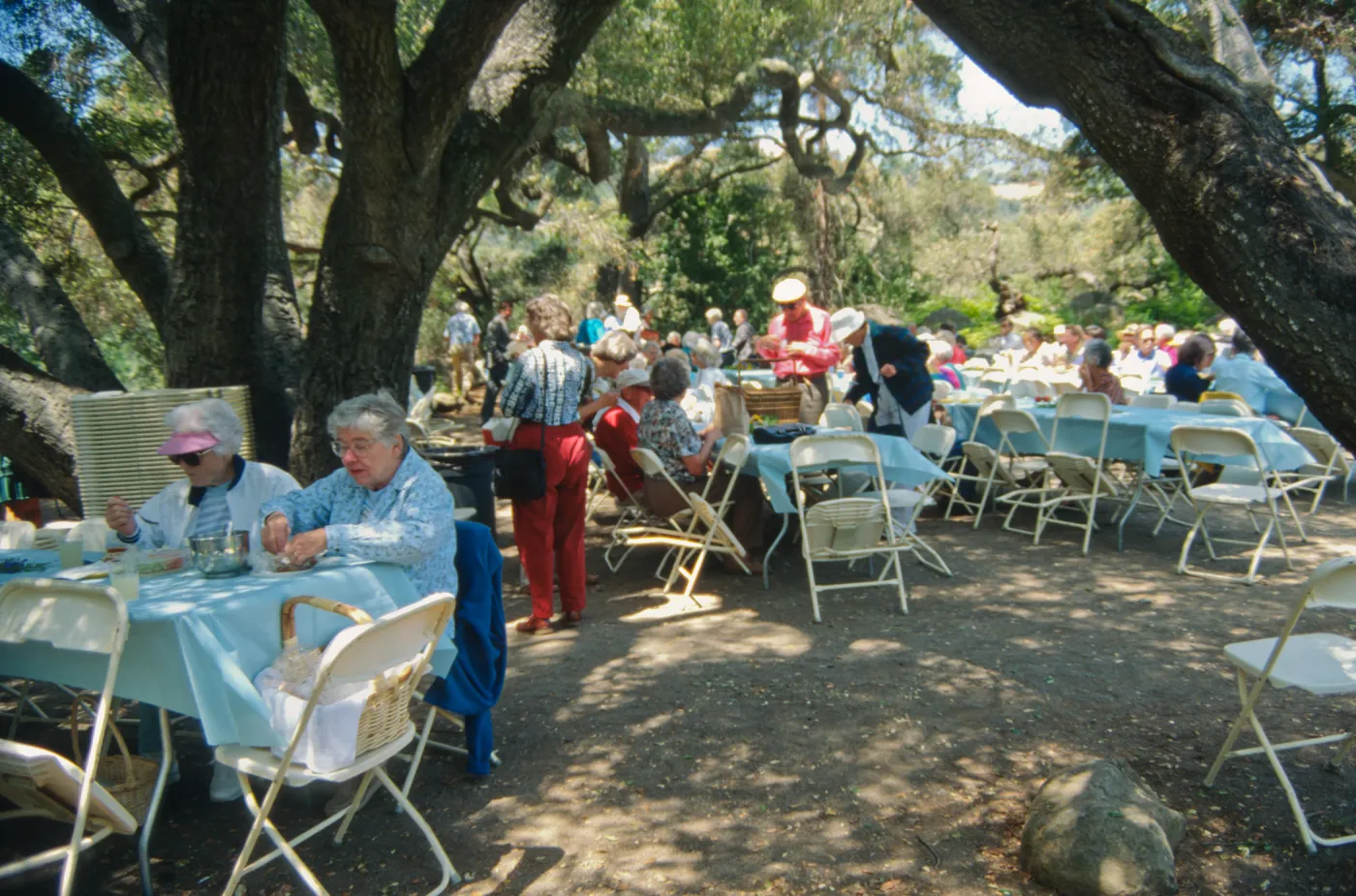SBBG Members Day Picnic, 1994