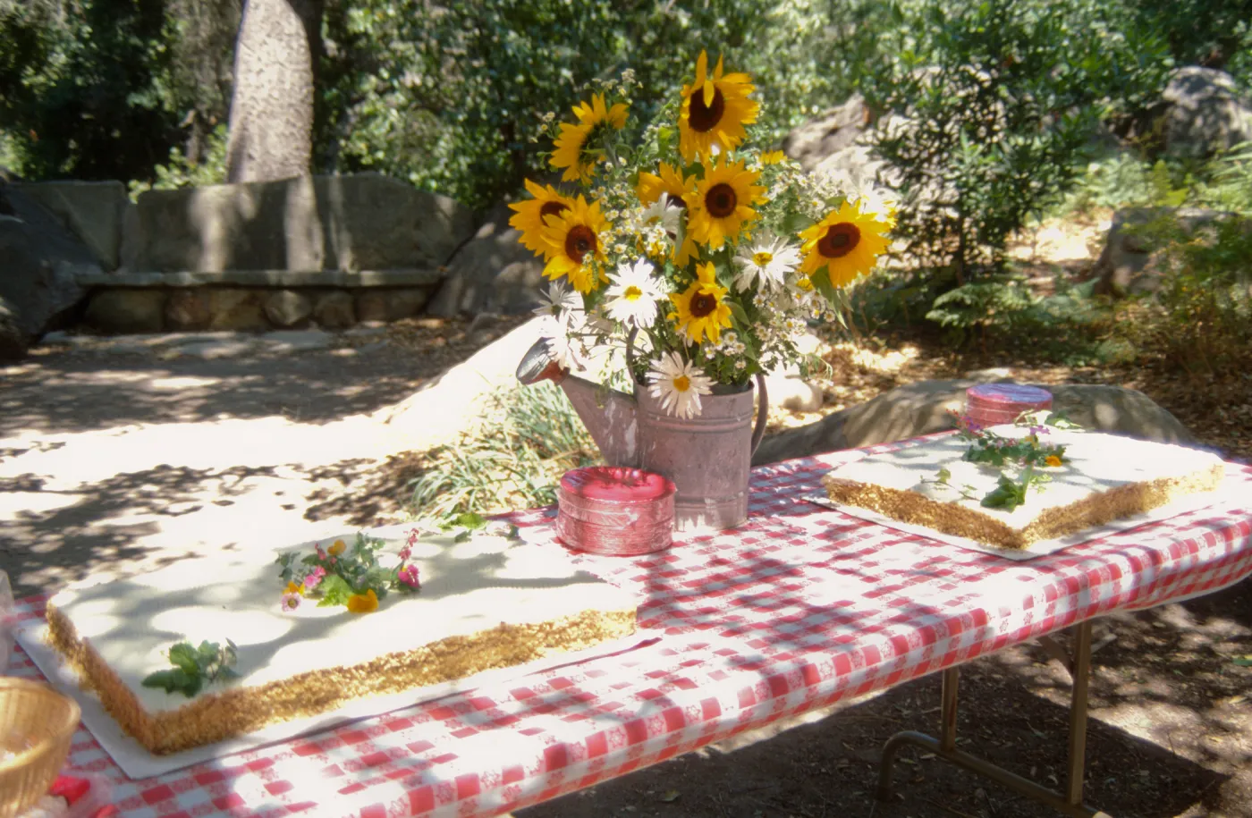 SBBG Members Day Picnic, 1997, the cake table