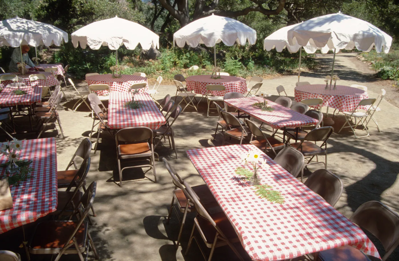 SBBG Members Day Picnic, 1997