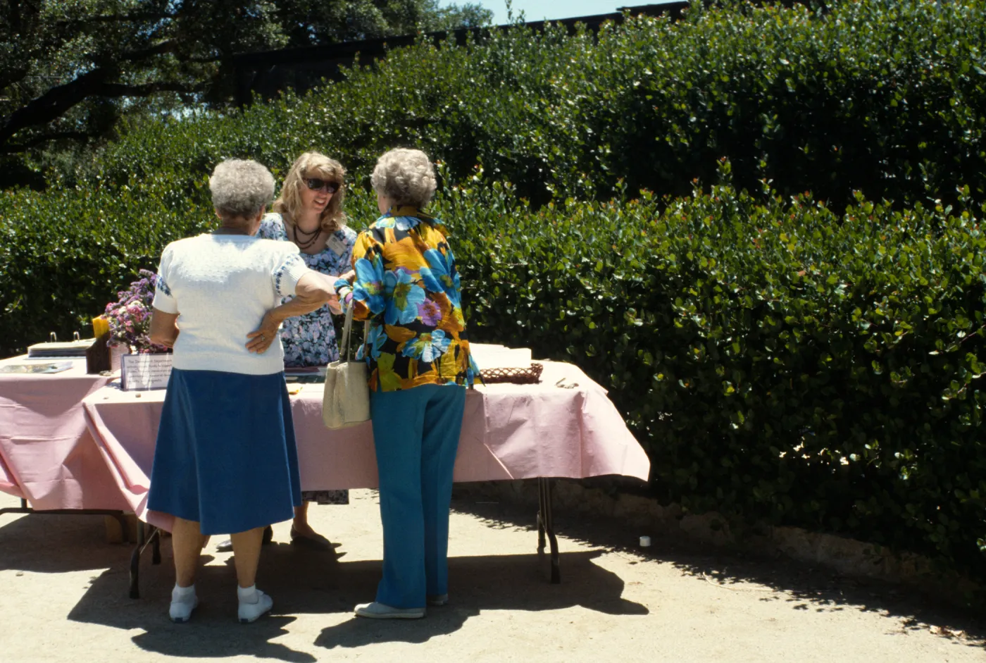 SBBG Members Day Picnic, 1990