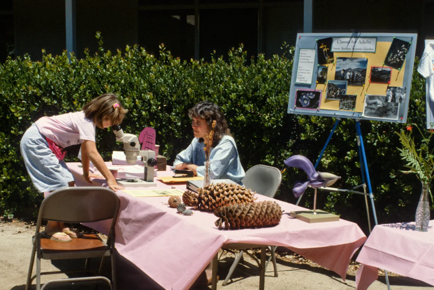 SBBG Members Day Picnic, 1990