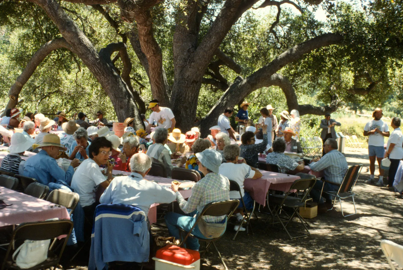 SBBG Members Day Picnic, 1990