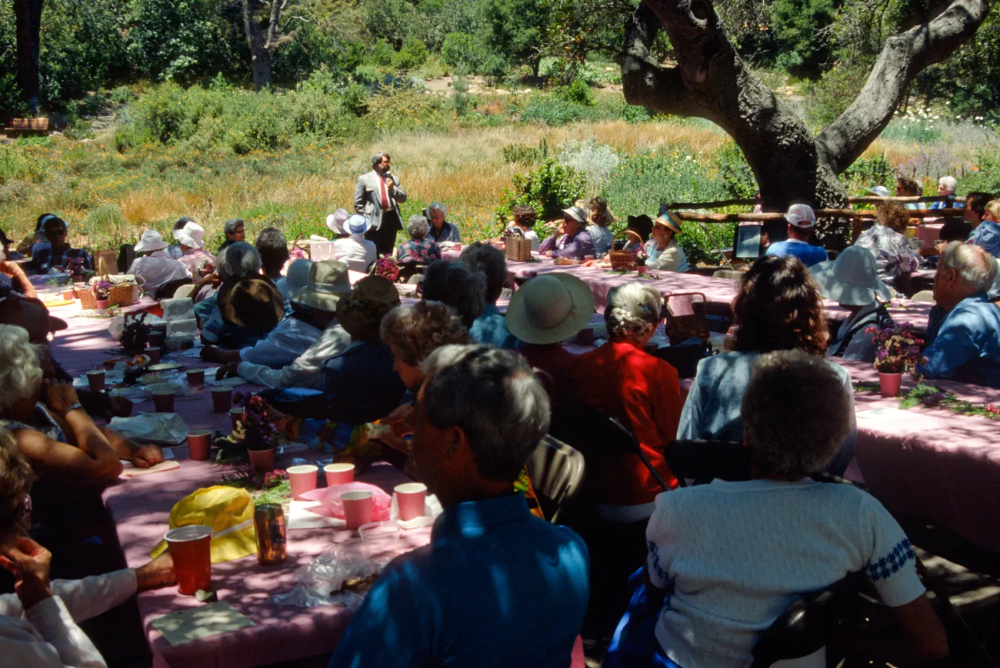 SBBG Members Day Picnic, 1990