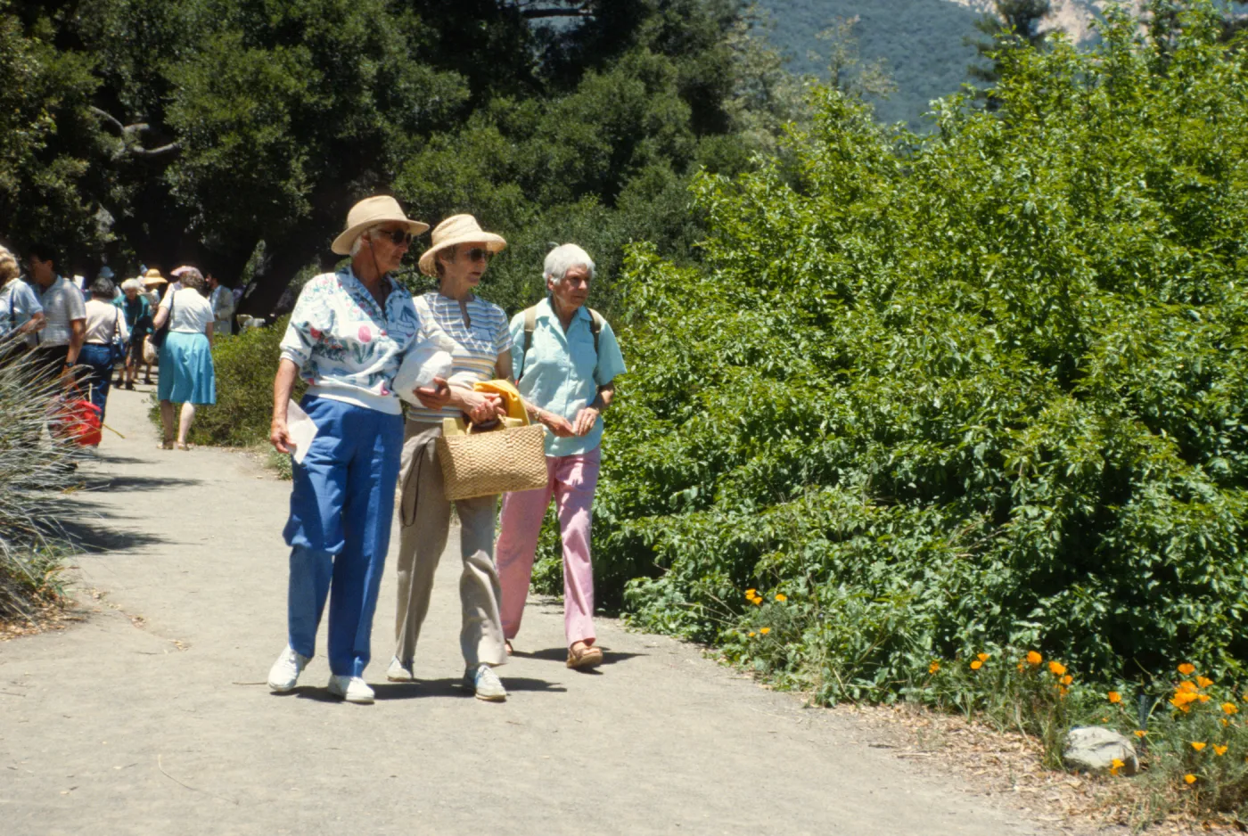 SBBG Members Day Picnic, 1990