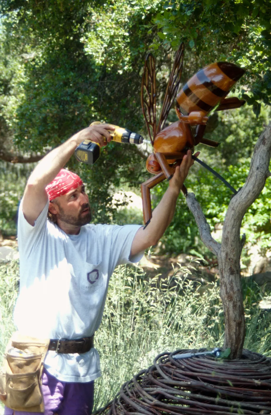 Big Bugs