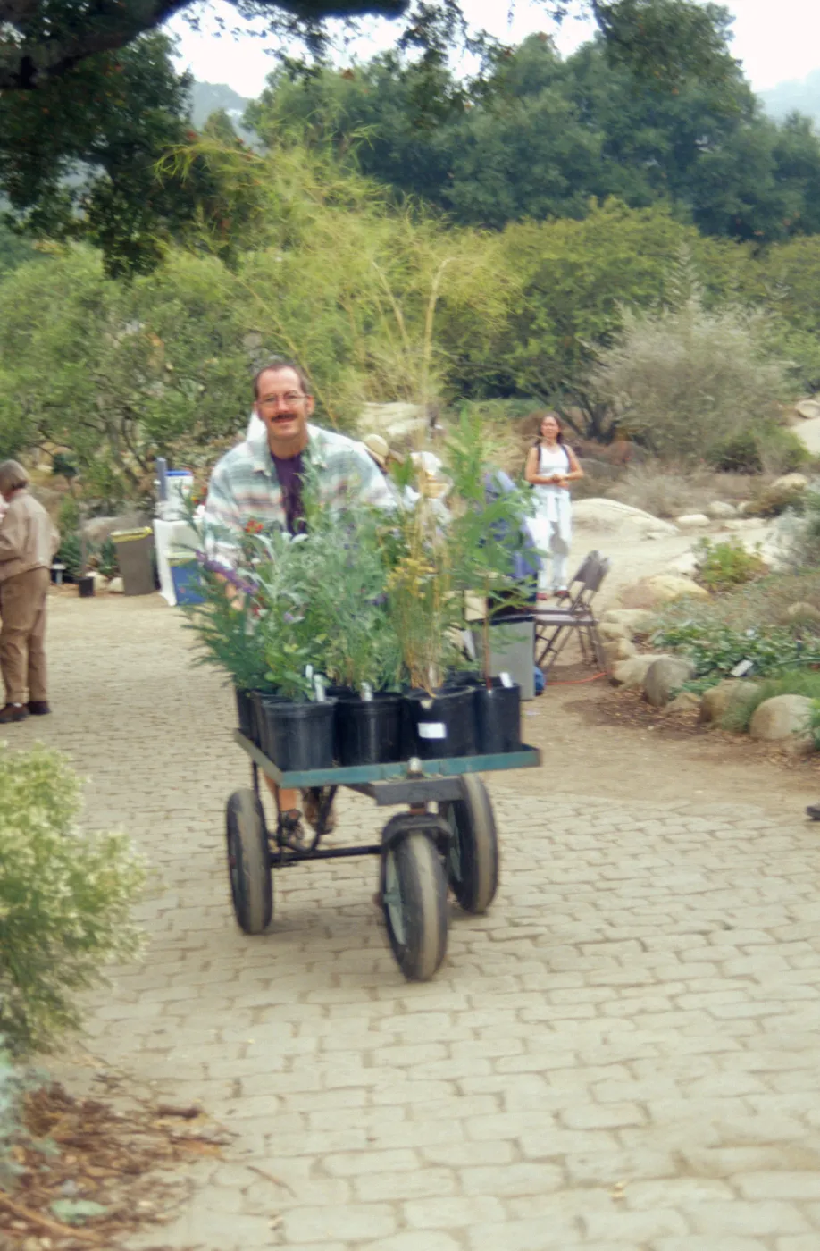 Plant Sale