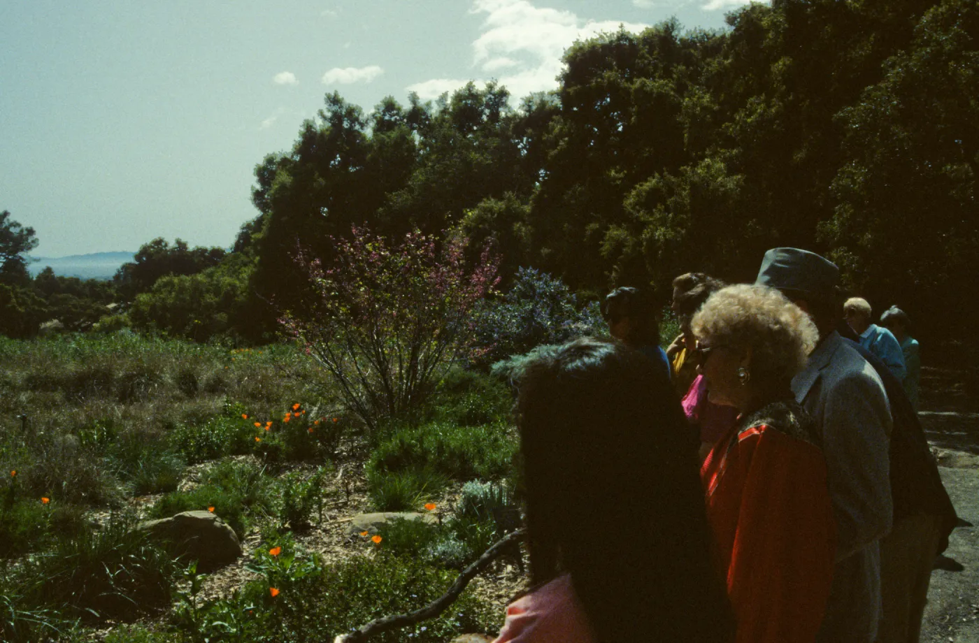 Tour with Mary Carroll