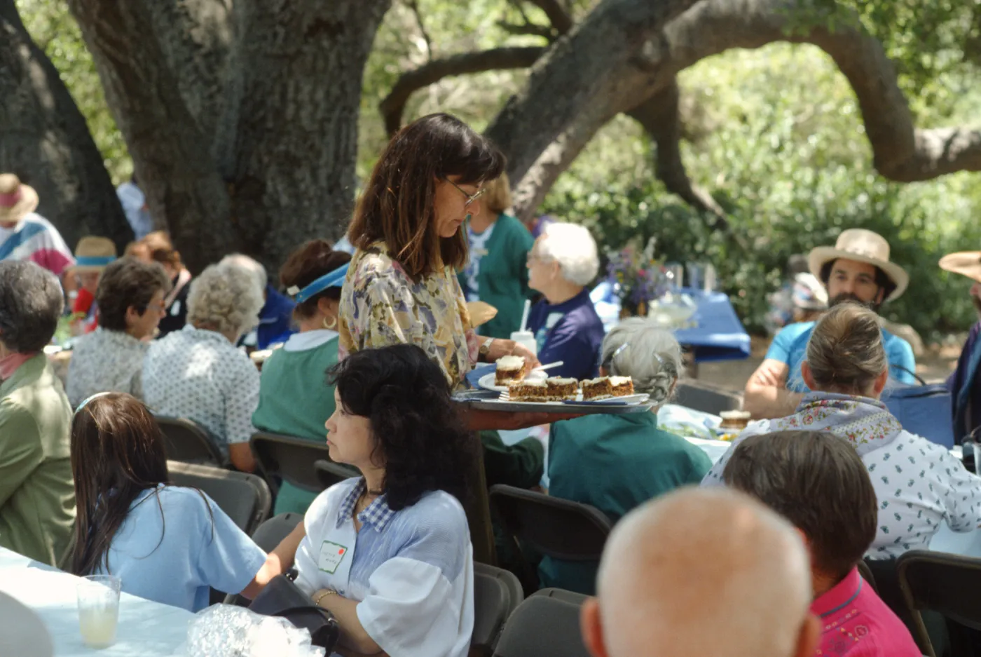 Member's Day Picnic 1993