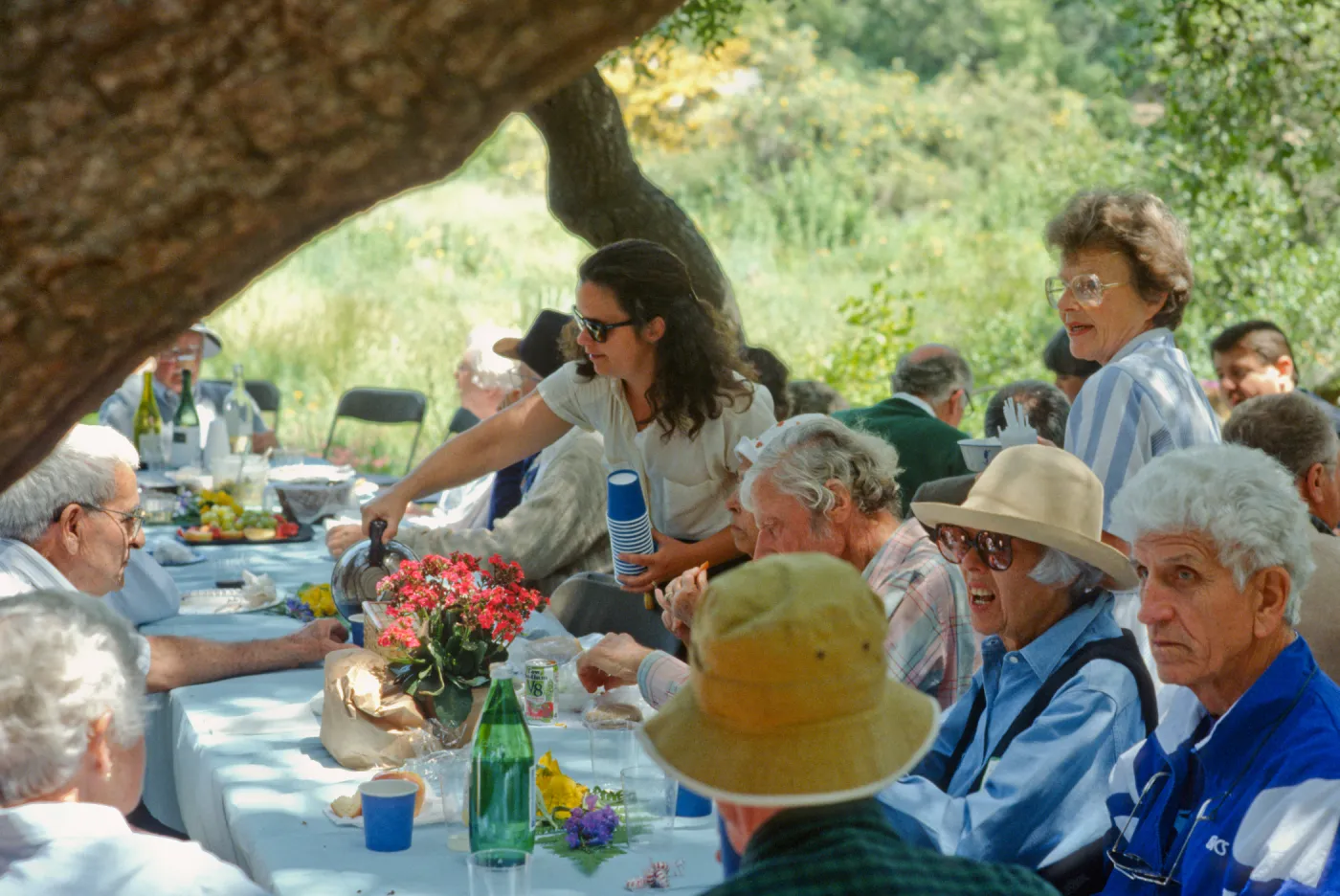 Member's Day Picnic 1993