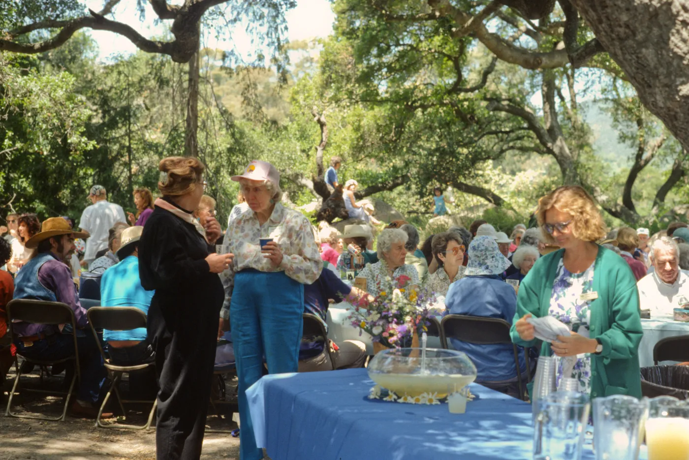 Member's Day Picnic 1993