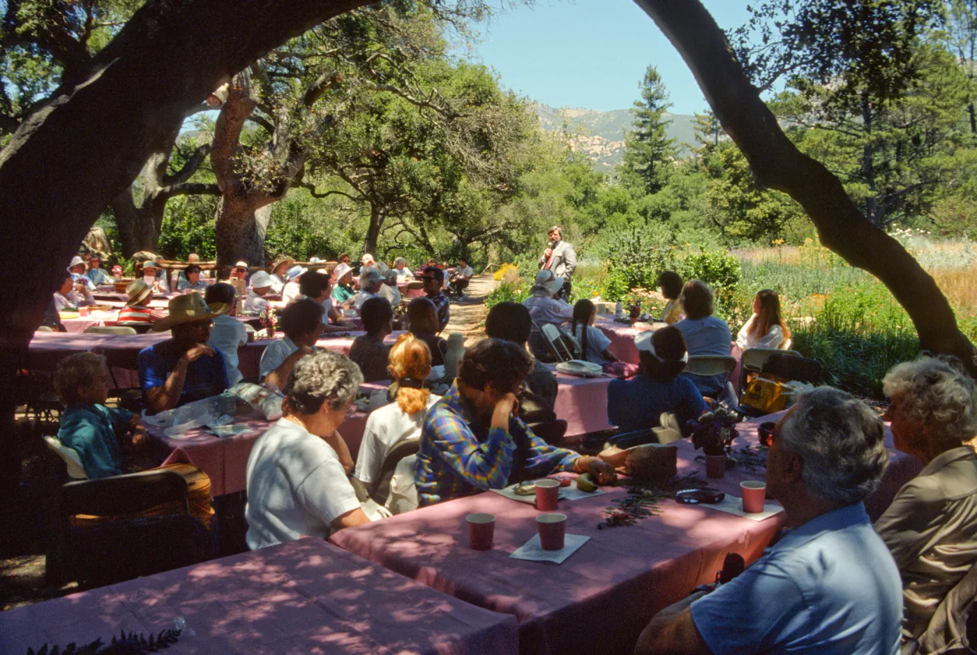 Member's Day Picnic 1990