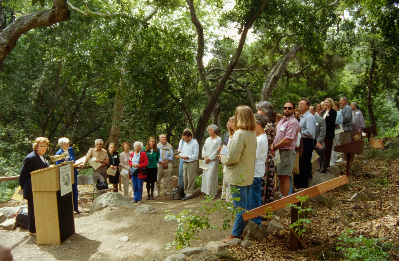 Plant Fiber Art Dedication
