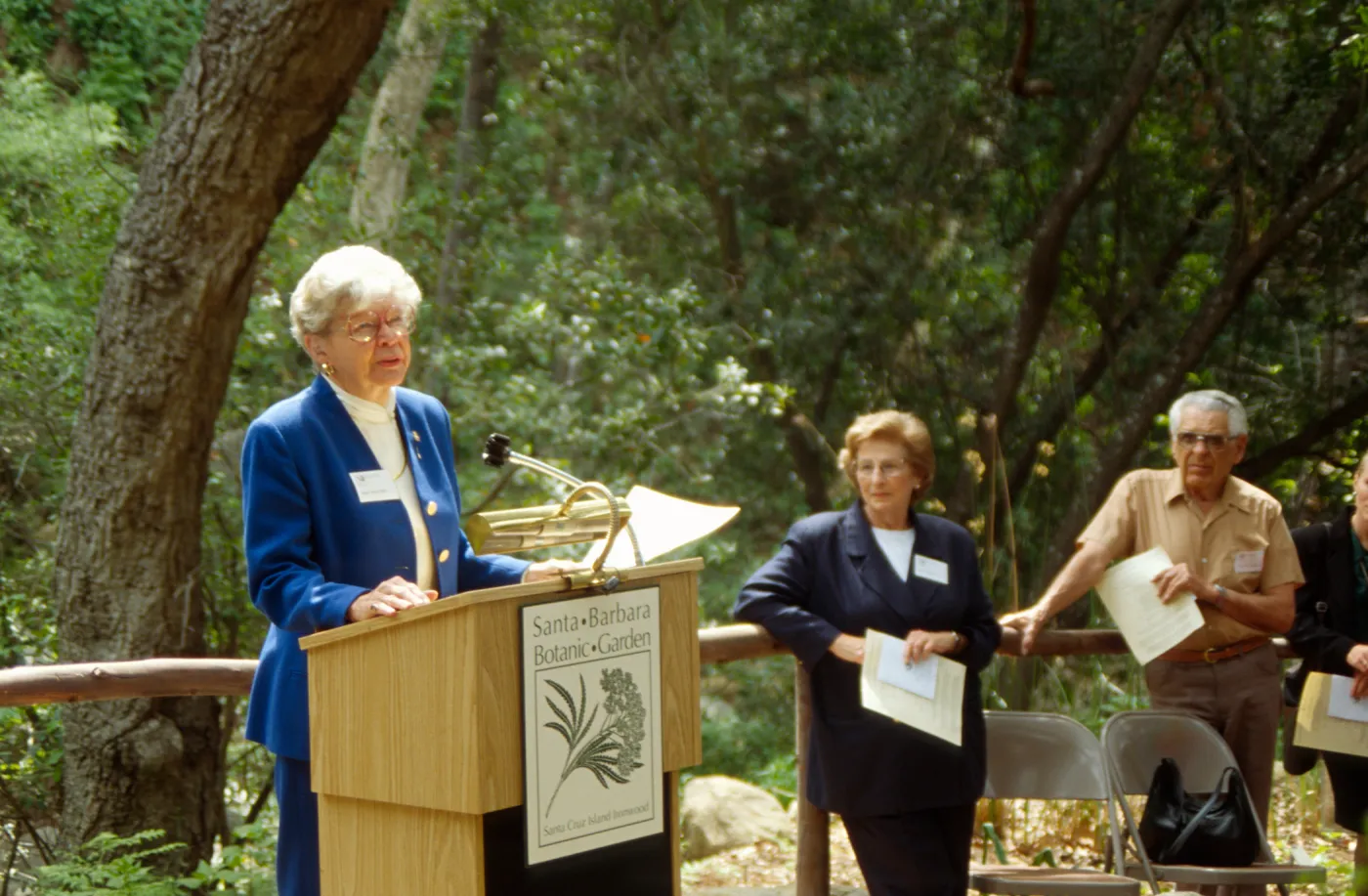 Plant Fiber Art Dedication