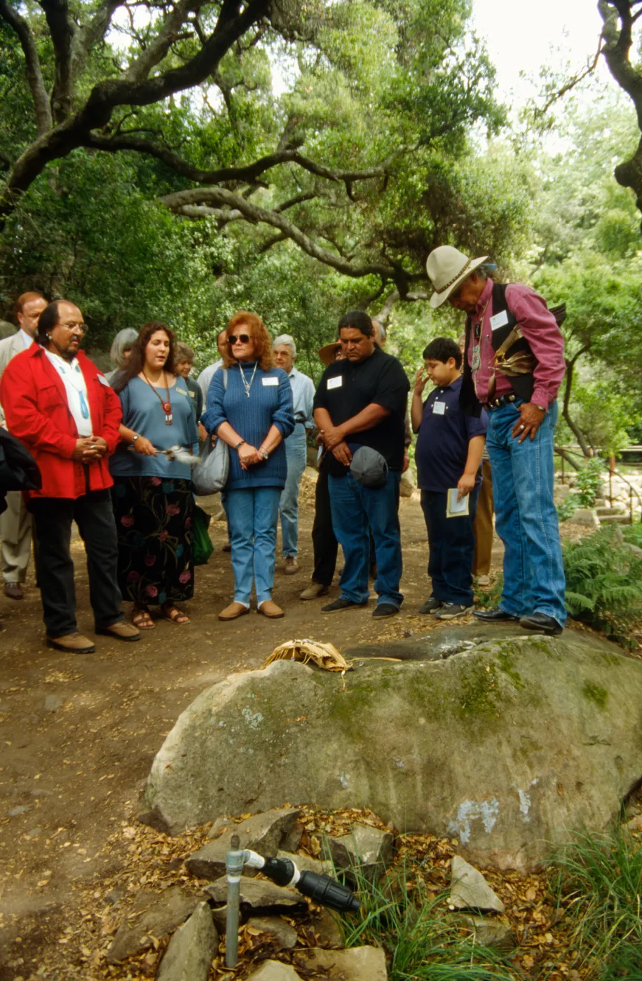 Plant Fiber Art Dedication