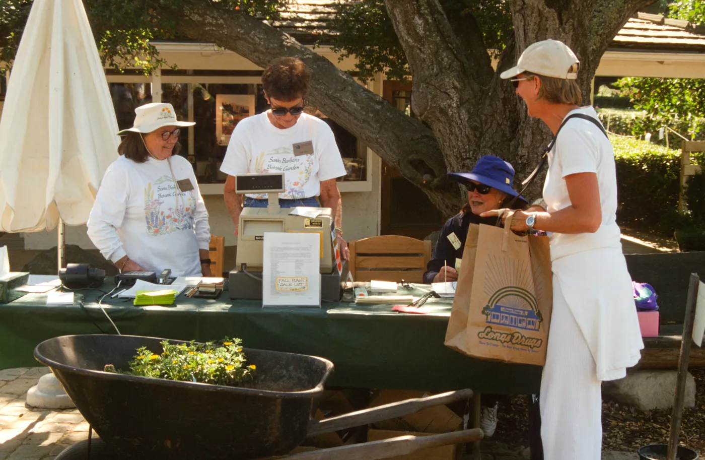 Fall Plant Sale