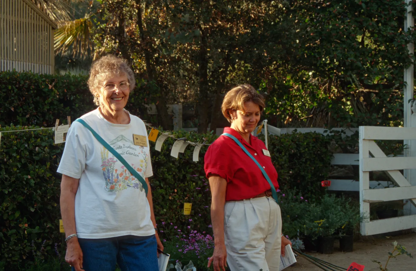 Fall Plant Sale
